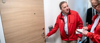 Linder: "S gör ingenting åt vår arbetskraftsinvandring"