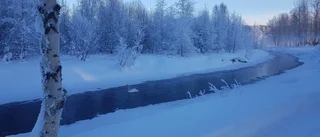 Läsarbilden: Kämpar på          