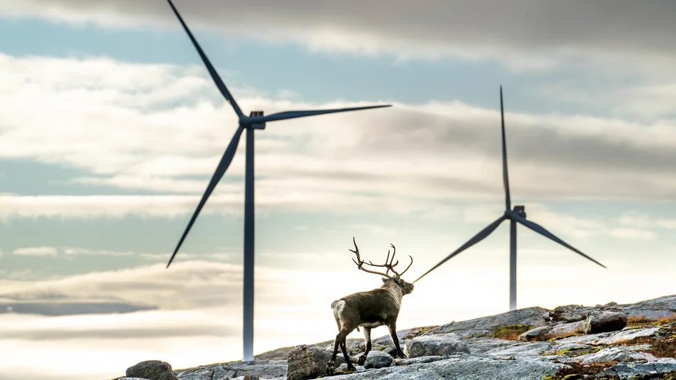 Mycket mer vindkraft väntas i norr, något som lockar elslukande industri. Genrebild.