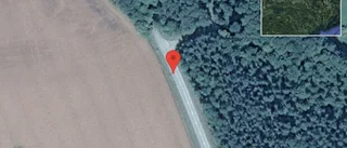 Häst på vägen på väg 953