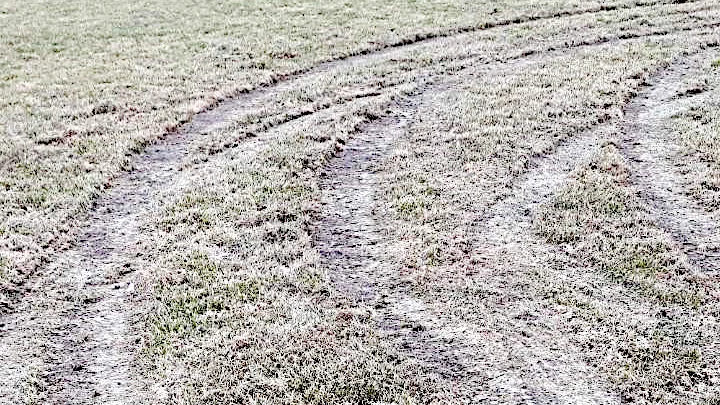 Länsstyrelsen polisanmäler terrängkörning i vid badstranden i Skvalpvik, strax norr om Holmhällar. (Bilden har inget med textens innehåll att göra.)