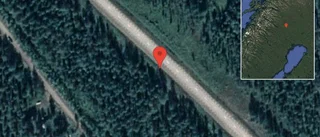Trasigt fordon stör trafiken på E10
