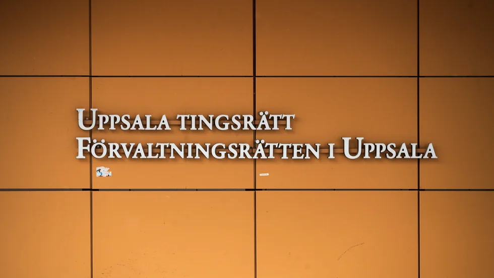 Kvinnan åtalas nu för bland annat vårdslöshet i trafik och ringa narkotikabrott. 