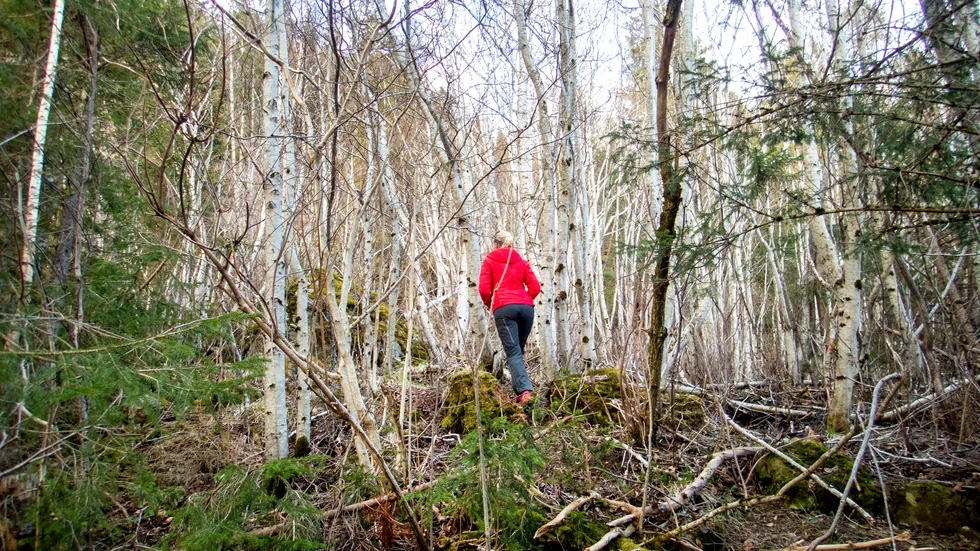 Fysisk aktivitet i naturen gör att vi mår bättre.