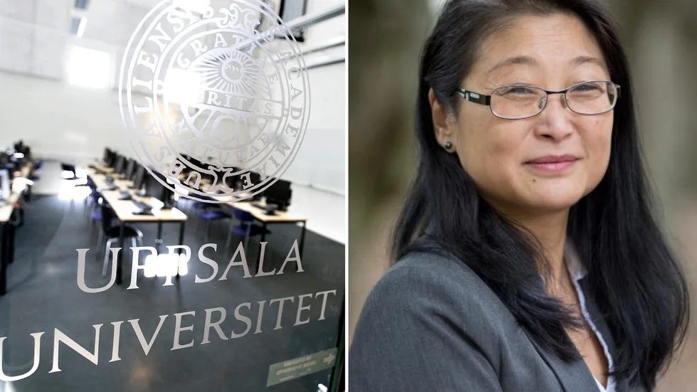 Coco Norén, professor i franska och dekan för språkvetenskapliga fakulteten, blir Uppsala universitets nya rektor.