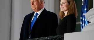 I USA är det viktiga val till mer än presidentposten