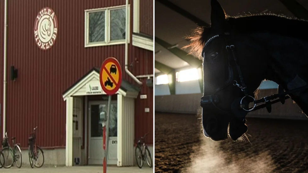 Luleå Ridklubb har tvingats stänga ned och hela stallet har isolerats. (Hästen på bilden har inget med artikeln att göra).