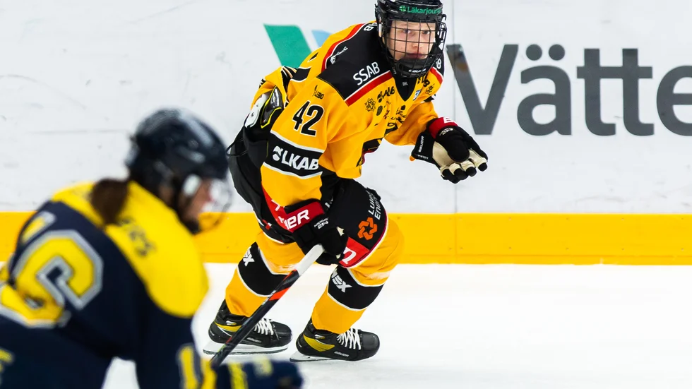 Viivi Vainikka