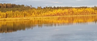 Bild från Rune Juto             