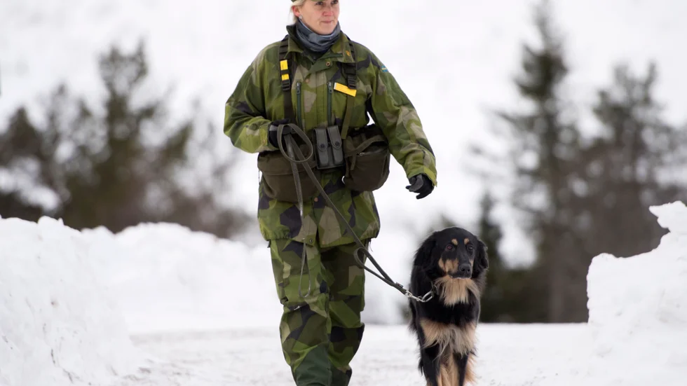 Dags skruda om på