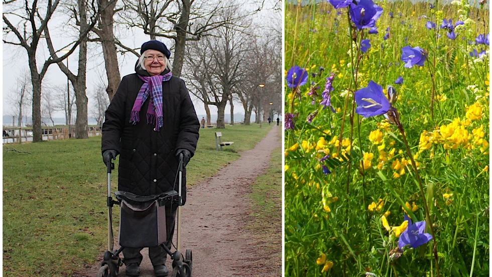 Här ute vill Anna-Lisa Hagård att gräsytorna ska omvandlas till blommande ängsmark.