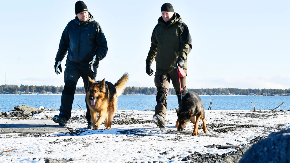 På träning i Umeå för Ärras, Ixtra och deras förare Jörgen Modin och Kalle Alatalo. 