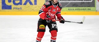 Läget i Piteå Hockey – några spelare saknas: "Vi slutförhandlar"