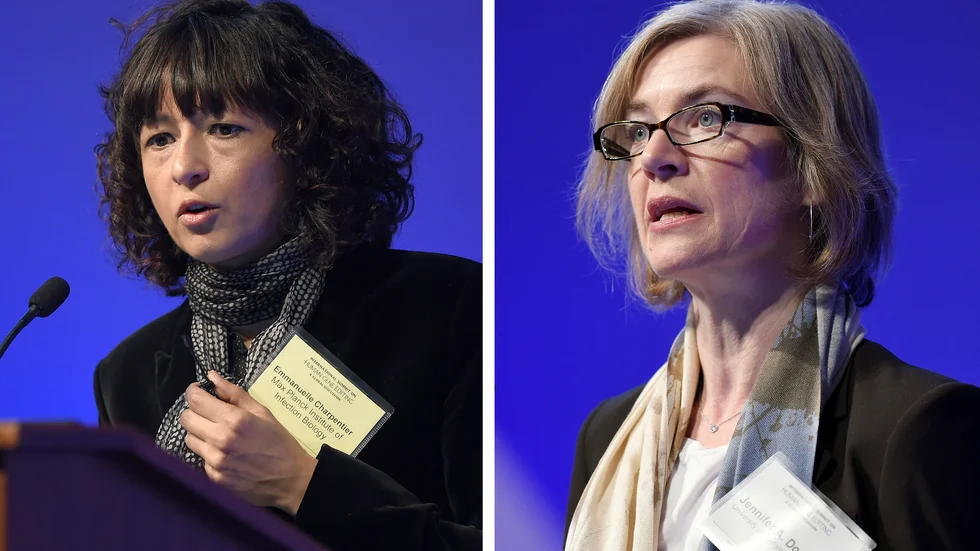 Emmanuelle Charpentier och Jennifer Doudna – årets vinnare av Nobelpriset i kemi. Arkivbild.
