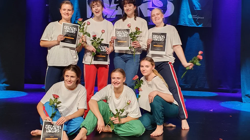 Gänget som vann regionfinalen på kulturhuset Agora i Linköping är danselever på Lunnevads folkhögskola i Vikingstad. 