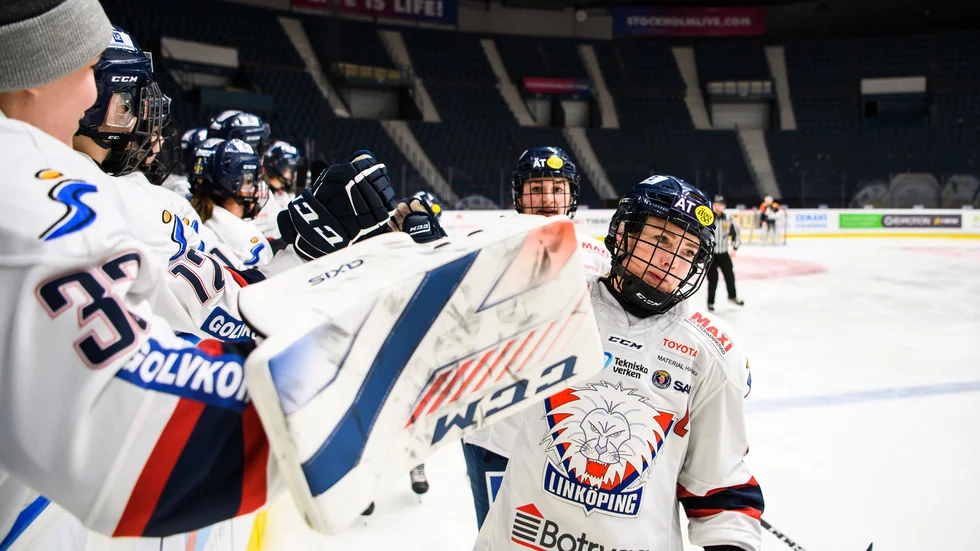 Madelen Haug Hansen blev tvåmålsskytt när såg till att Brynäs föll för första gången i höst.