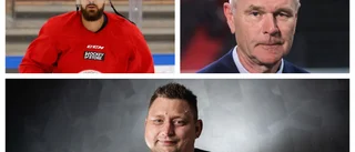 Experten: VIK missar slutspelet i vår