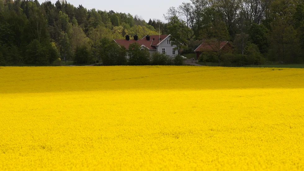 Marken runt Motala ström har samma bördighet som den ”på slätta”, det vill säga nästan i klass med Skåne, menar debattören.