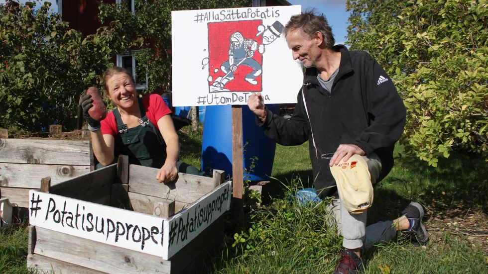 Grannen Krister Segergren, som också tävlar i Potatisutmaningen, kommer förbi för att ta en titt på Hillevis potatisar. "Det här är värsta Gårdspångaderbyt".
