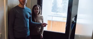 Otäta balkongdörrar och flugor i fönstret