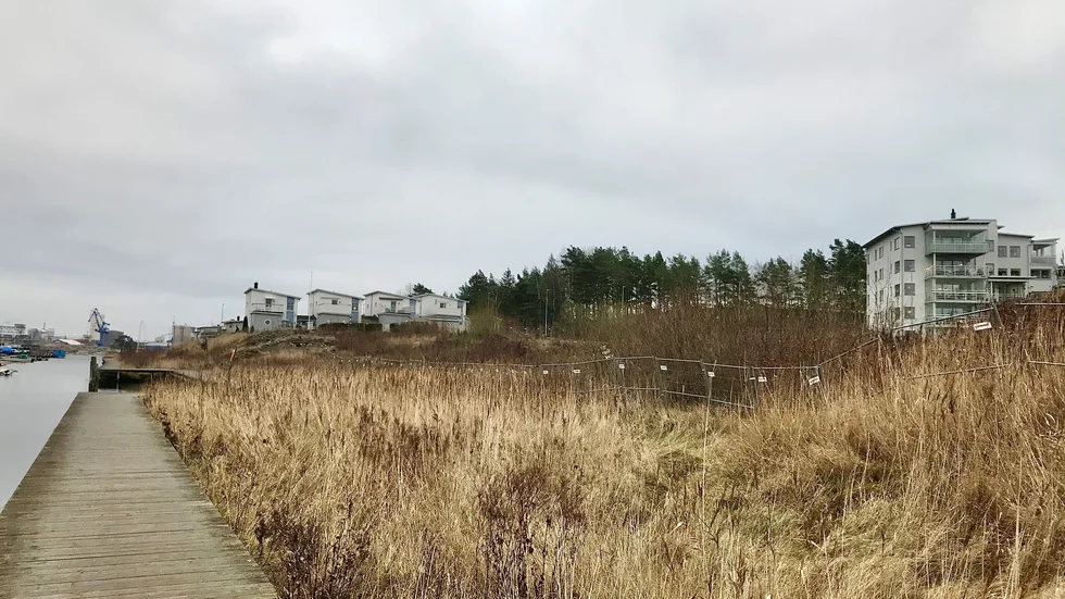 Peab köpte marken vid Femörekanalen av kommunen för flera år sedan. Nu ser det ut som att det kommer att byggas bostäder här.