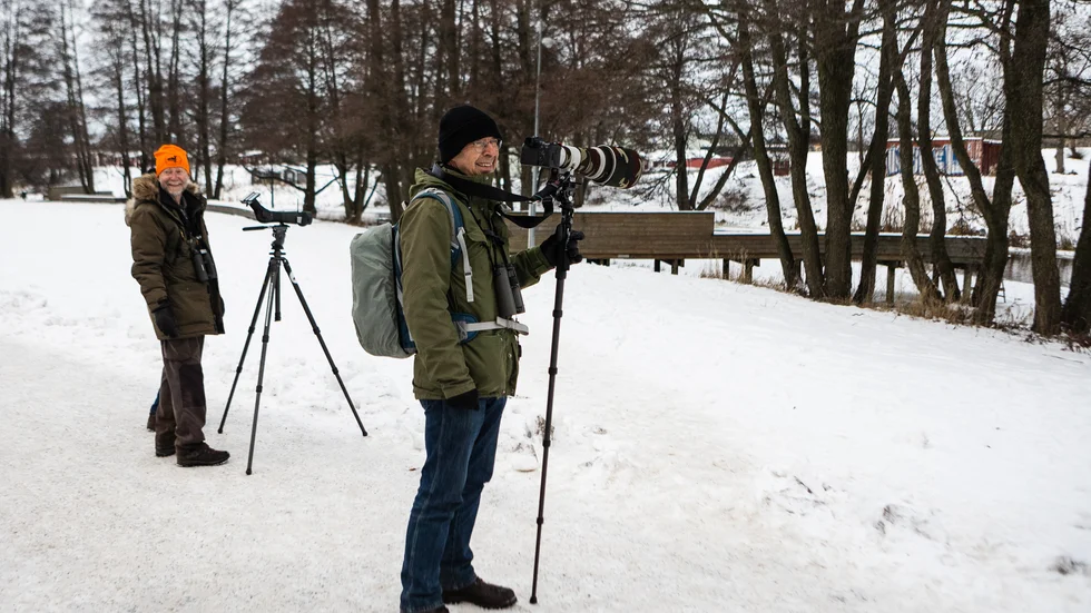Uppsalabon Göran Ocklind tog med sig sitt stora objektiv för att kunna få riktigt bra bilder på den långväga besökaren.