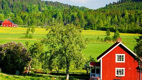 Senast den 28 februari kan föreningarna i Piteå kommun söka byapeng till satsningar och aktiviteter som ska bidra till byarnas utveckling.