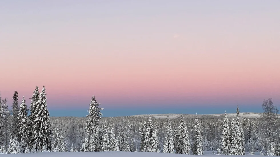 Så vackra färger!