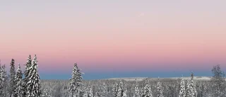 Läsarbilden                   