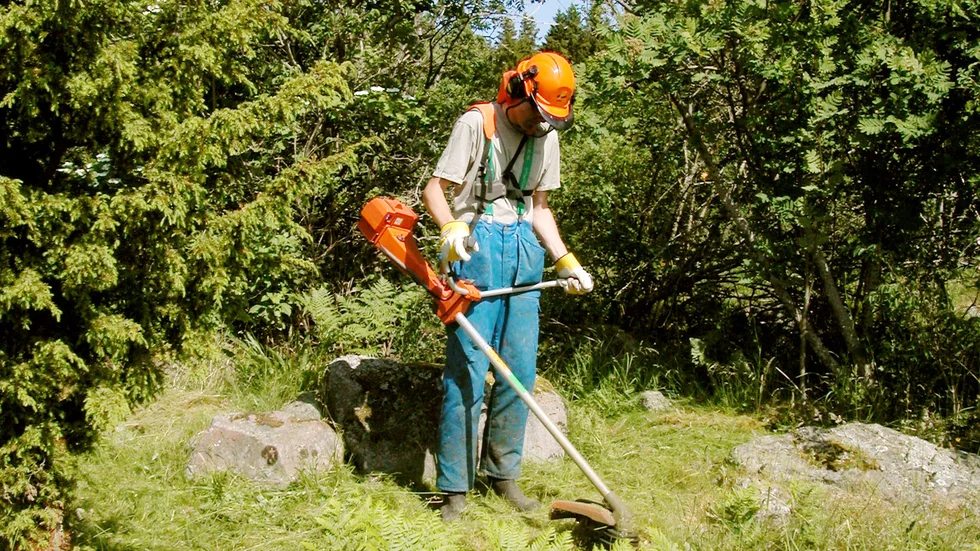 Tre röjsågar stals från ett arbetsfordon i Hummelsta under helgen.