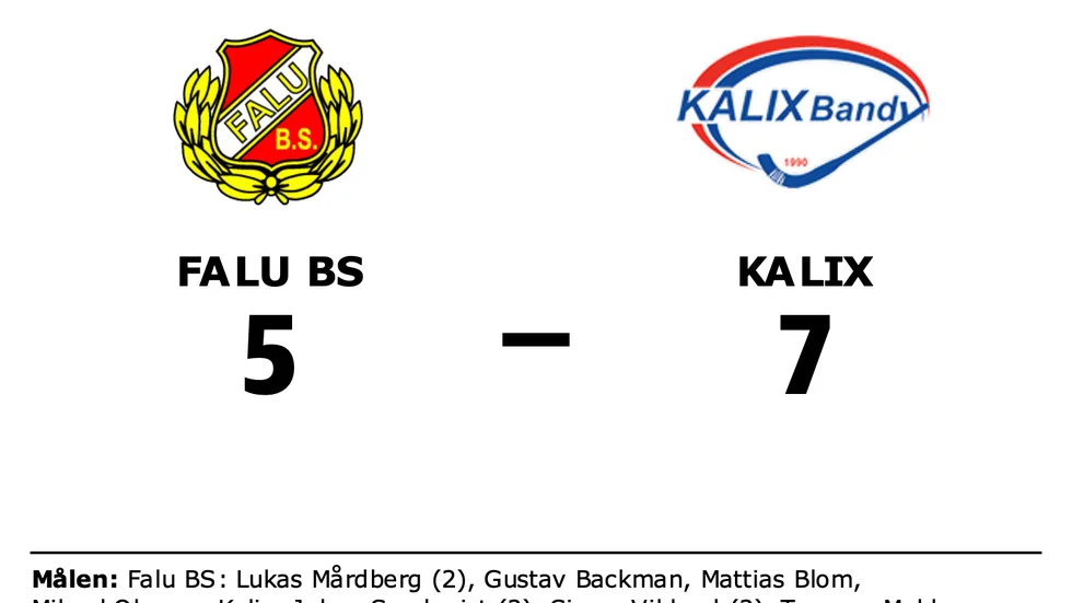 Falu BS BK förlorade mot Kalix BF