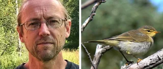 Fågelliv hotas av vägar och trafikleder