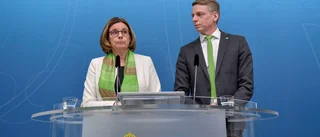 Farväl, aktivismen
