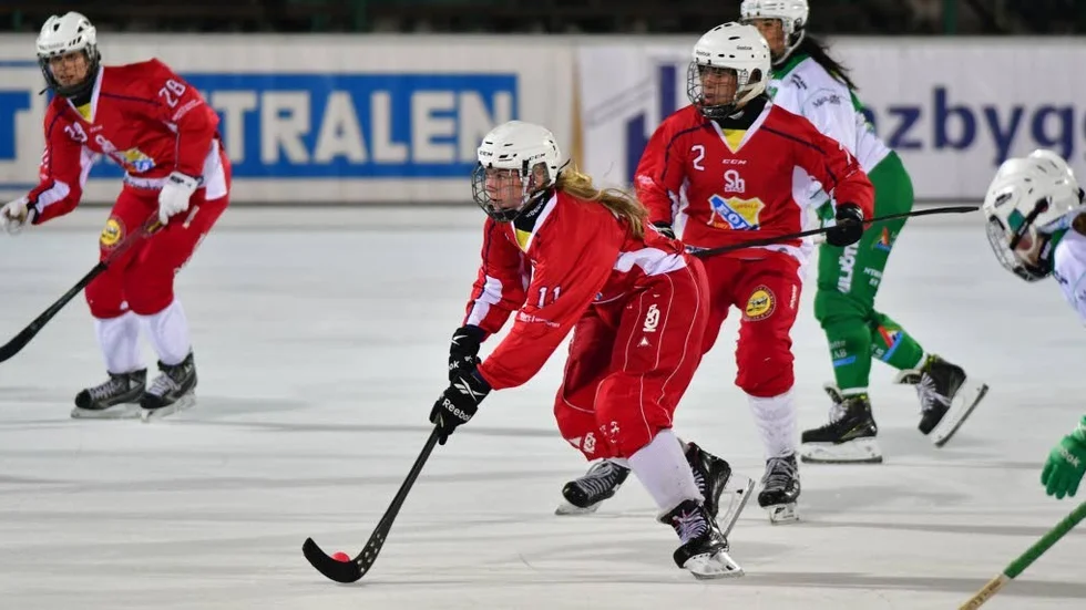 Uppsala BoIS spelar för elitserien.