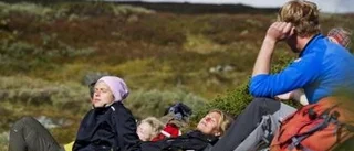 Det bästa av svenska sommarfjällen