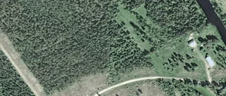 Ny ägare till skogsmark i Bodens kommun i mars