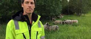 Cityfåren jagade – nu stängs de in