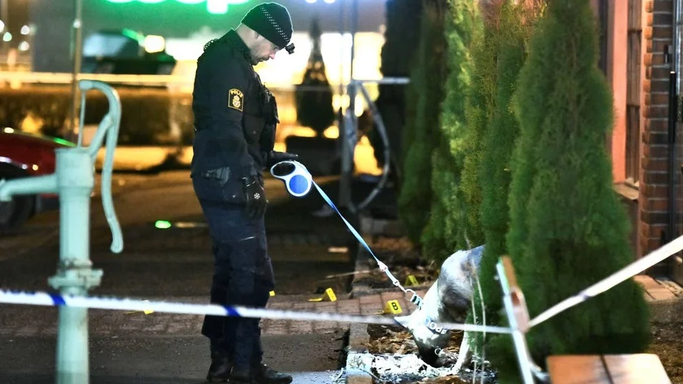 Polisen söker spår. Polisen tog hjälp av hundar vid brottsplatsen i Boländerna på lördagskvällen.