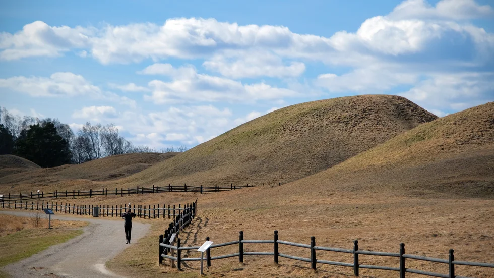 Gamla Uppsala åt söder, mot Tunåsen och Röboområdet. 