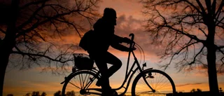 Flera cyklar har stulits
