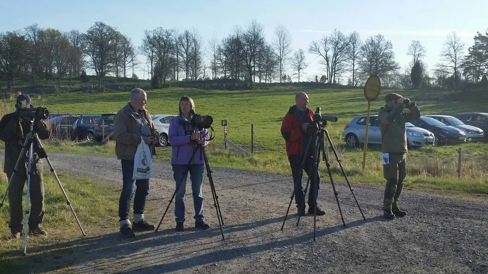 Hade örnkoll. Några av fågelskådarna från Tjust Fågelklubb, som på lördagen firade Fågelskådningens dag och tävlade om att se flest fåglar under åtta timmar.