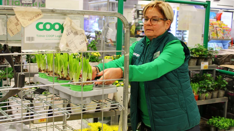 "Alla orkar inte gå ner till de andra butikerna eftersom de ligger lite mer avsides", säger Susanne Andersson, anställd på Coop på Norrtullsgatan. Hon tycker att det är tråkigt att Vimmerby snart kommer att stå utan butik i stadskärnan.