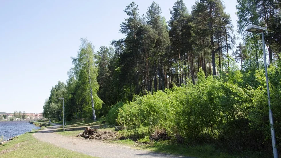 Här på kläppenområdet ägde en våldtäkt rum den 28 maj. En kvinna polisanmälde att en man våldtagit henne utomhus. Nu har polisen en misstänkt våldtäktsman.