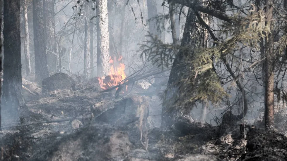 Ännu en brand som räddningstjänsten har tagit emot larm om. Denna gång är det i Pajala som det brinner.