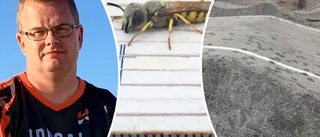 Tusentals små hålor i BMX-banan förbryllar