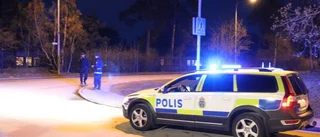 Fyra greps för vapenbrott