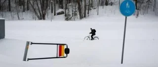 "Man ska kunna cykla vintertid"