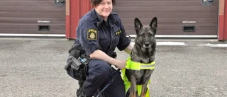 Hundägare kan bli polisens ögon