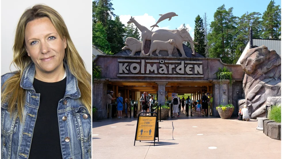 Joanna Hammar blir ny vice vd för Parks and Resorts, där Kolmårdens djurpark ingår.