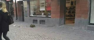 Kvinna fick blomkruka i huvudet